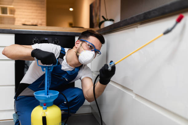 Best Flea Control Services  in Bremen, IN