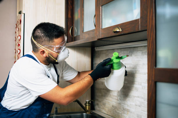 Professional Pest Control in Bremen, IN
