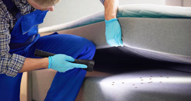 Best Residential Pest Control  in Bremen, IN