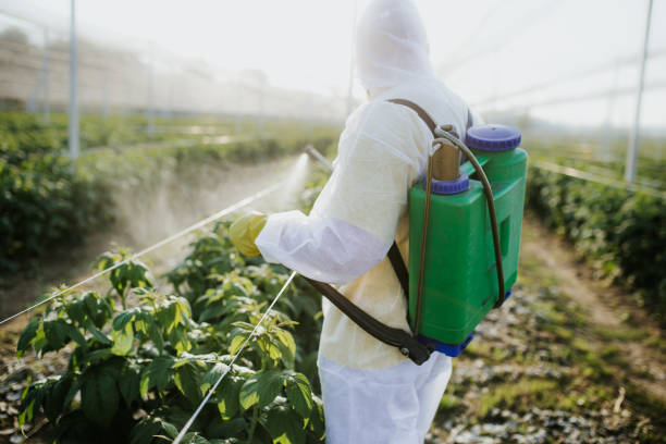 Flea Control Services in Bremen, IN